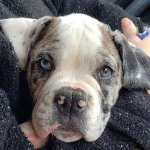 Meet your Posher, Sheri